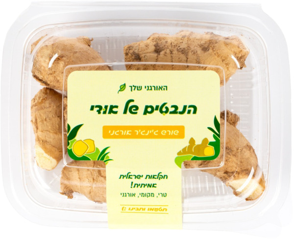 שורש ג'ינג'יר אורגני כ-250 גרם הנבטים של אודי