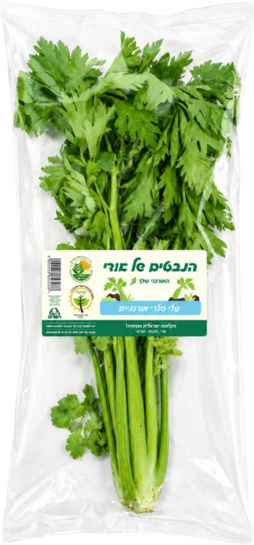 עלי סלרי אורגנים 1 יח' הנבטים של אודי