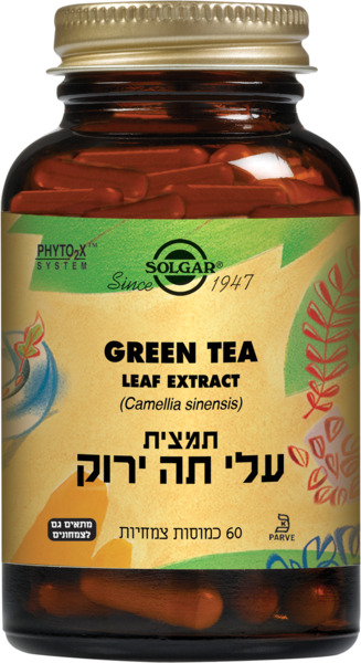 תמצית עלי תה ירוק