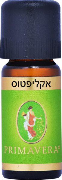 אקליפטוס
