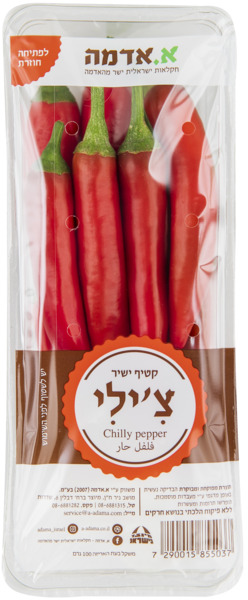 פלפל צילי חריף