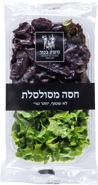 חסה מסולסלת צבעונית