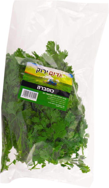 כוסברה אדום ירוק ארוז