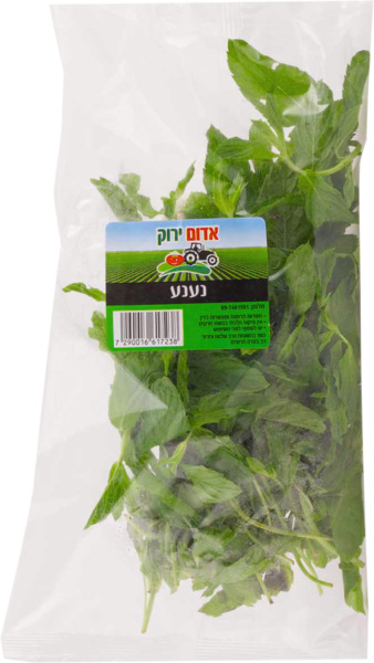 נענע אדום ירוק ארוז