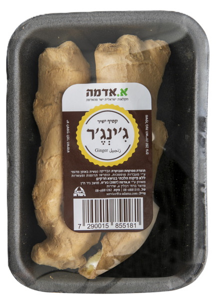 גינג'יר