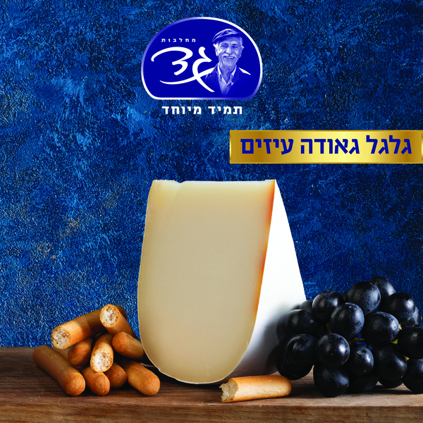 גאודה עיזים30% משקל