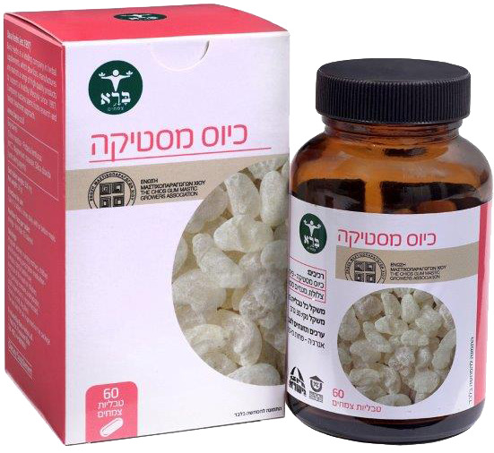כיוס מסטיקה