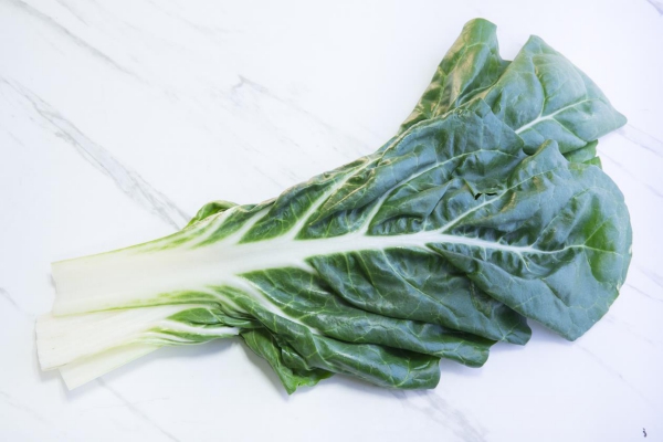 מנגולד