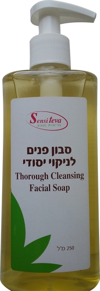 סבון פנים טיפולי לניקוי יסודי