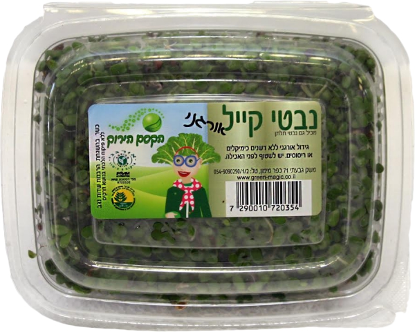 נבטי קייל אורגני
