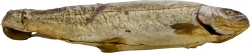 Smoked Trout