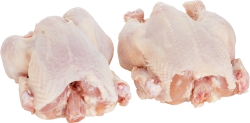 Chicken:Cornsh Hens-D.Elliot