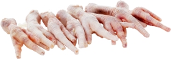 Chicken:Feet-D.Elliot