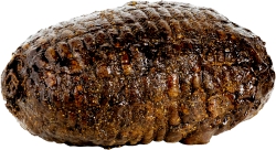 Chicken:Dark Pastrami Rst