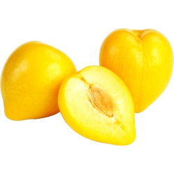 Yellow Prunes