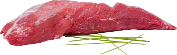 פילה מדומה בקר מס 6