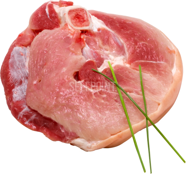 פולקה שלם עם עצם