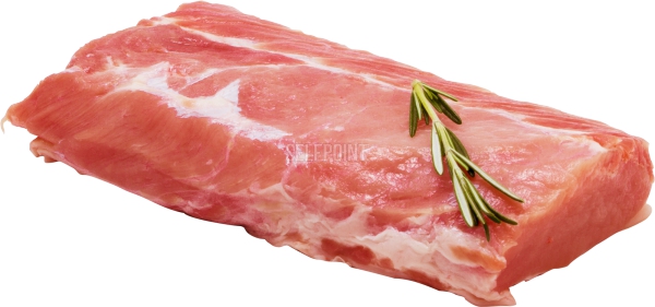 סינטה בלי עצם