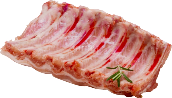 בייבי ריבס לבן