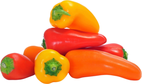 אשכולית אדומה