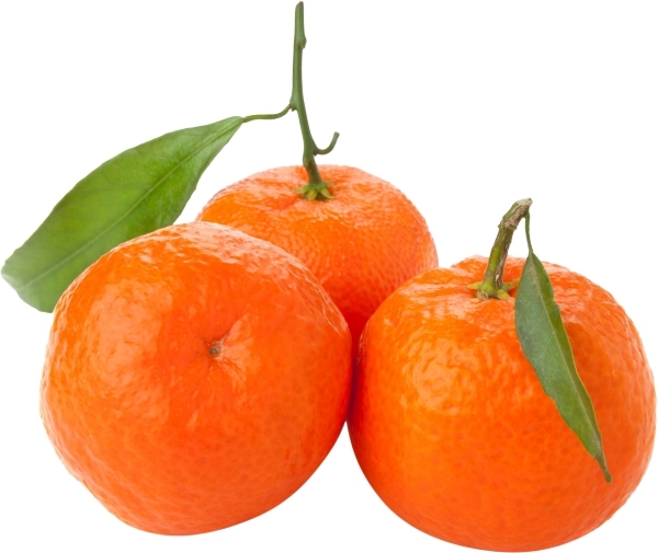 כוסברה (בתפזורת)