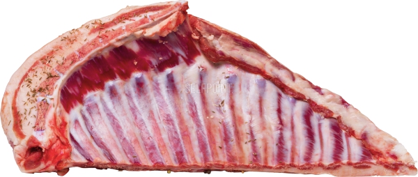 ספריבס טלה טרי